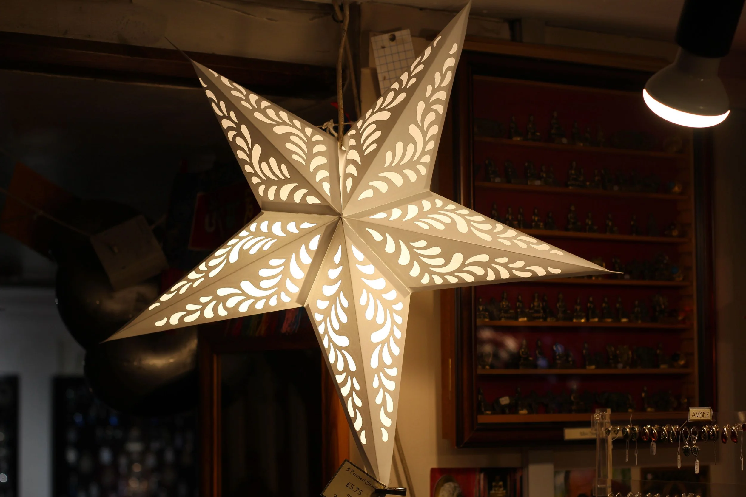 White leaves star - 1.jpeg