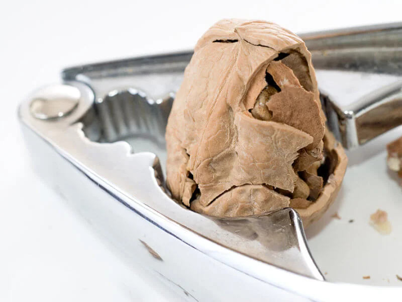 SEC Cracks Down on ICO-Funded Start-Ups