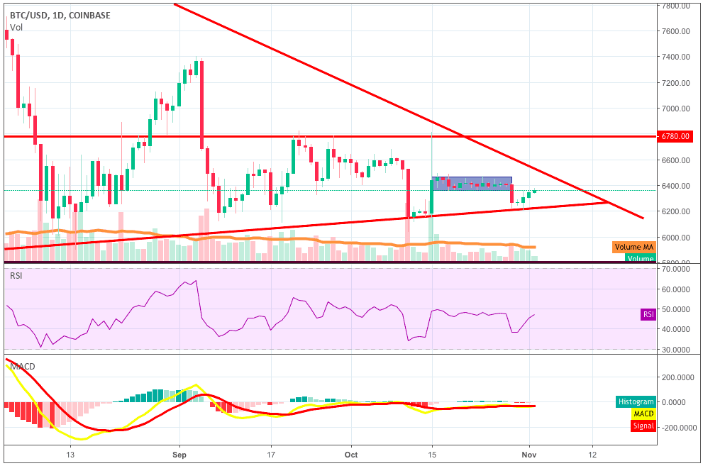 IOT/USD Price Analysis: Altcoins Register Minor Gains, Still Bearish