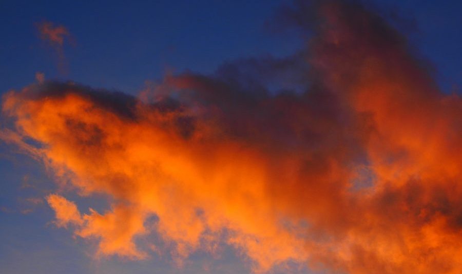 XRP witnesses price crash of 4.48%; ecosystem falls dull prior to XRPTipBot secret announcement