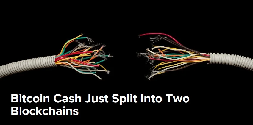 Bitcoin Cash Just Split Into Two Blockchains