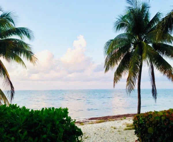 Why Have Offshore Financial Centres Become the Home of ICOs?