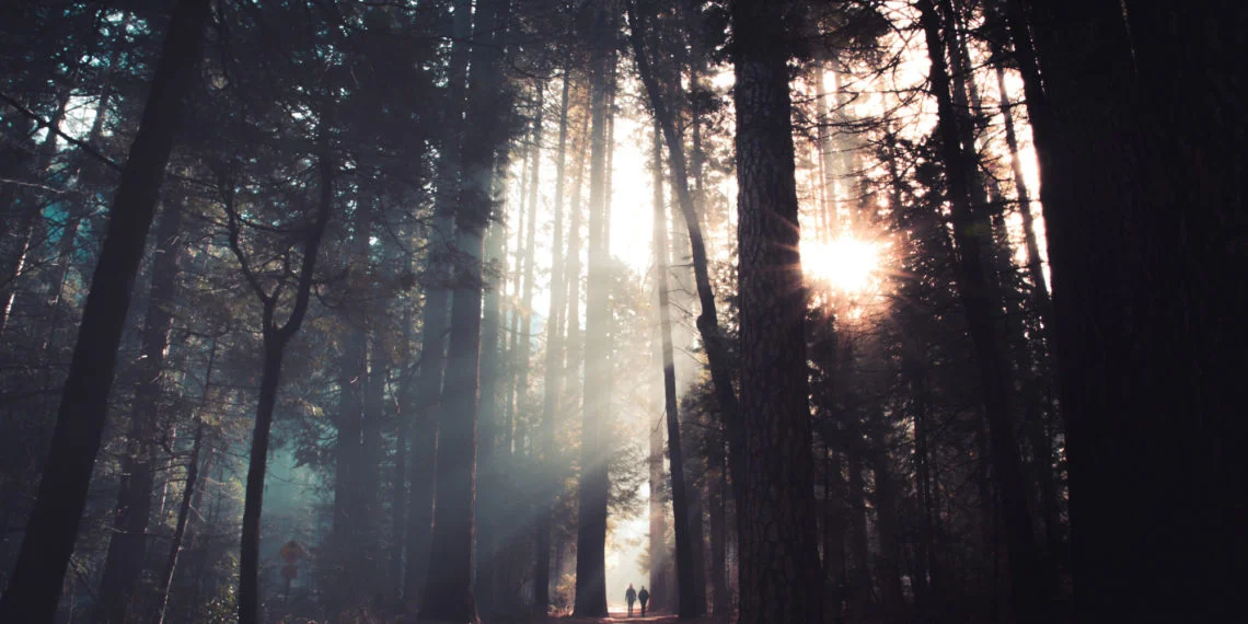 Woops! Fortnite Merch Curbs Crypto Adoption, Drops Monero (XMR) Option