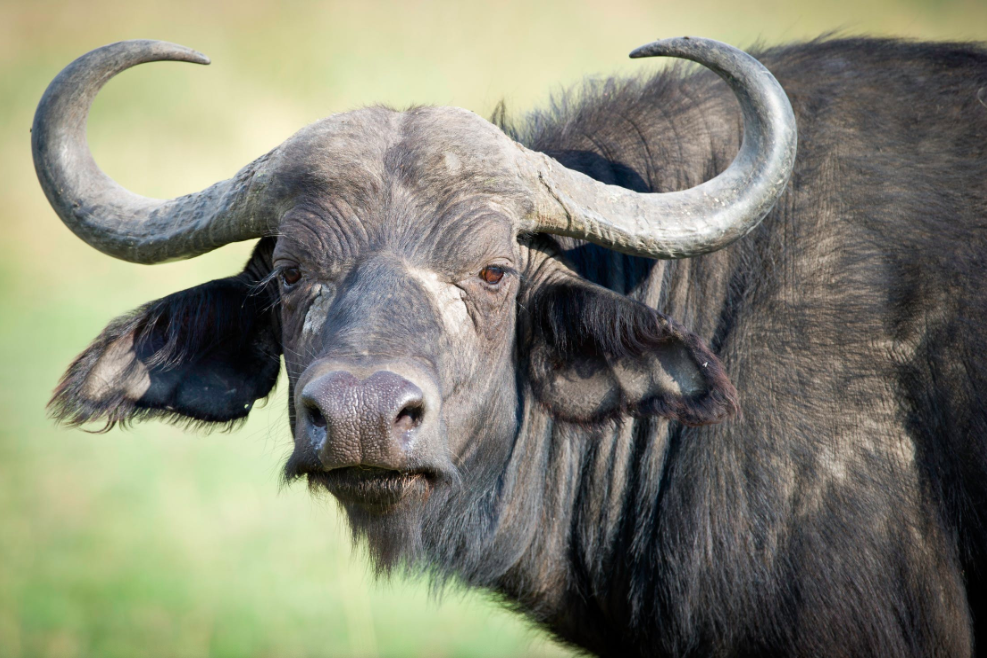 “When Altseason?” — How to Time the Most Profitable Period in the Cryptocurrency Market