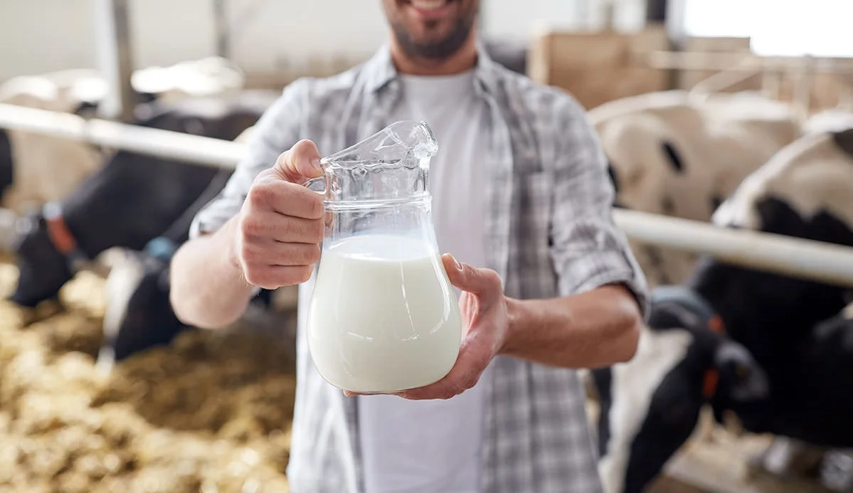 US Dairy Farmers to Trial Blockchain in Bid to Track Milk Products