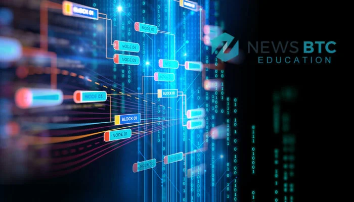 Block School: Early Bitcoin, Rocky Mt Gox Days