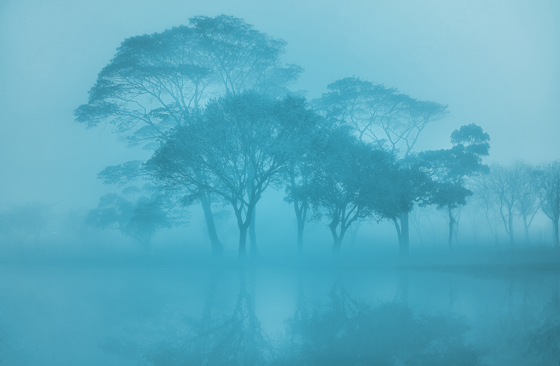 Trust and Security in the Cloud