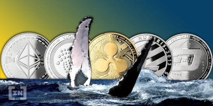 Here’s How Much of Each Major Altcoin Is Owned by Whales