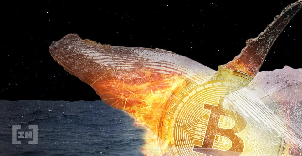 Bitcoin Whale Gives Warning About Inflated Market