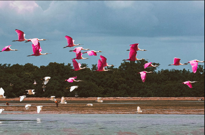 Despite Utility, Bitcoin Cannot Fix Venezuela