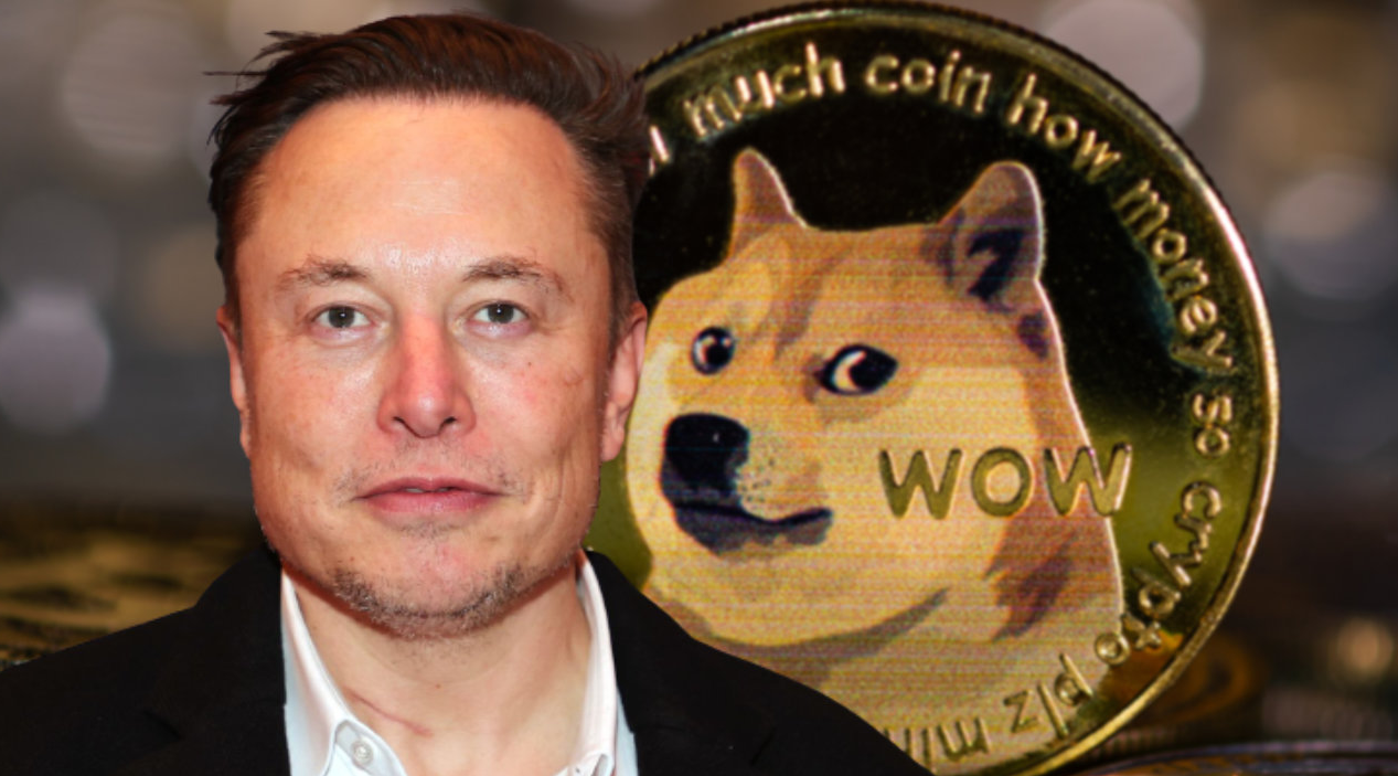 Elon Musk Hints at DOGE Army Being “Too Active,” Ripple Seeks to Collaborate with Congress
