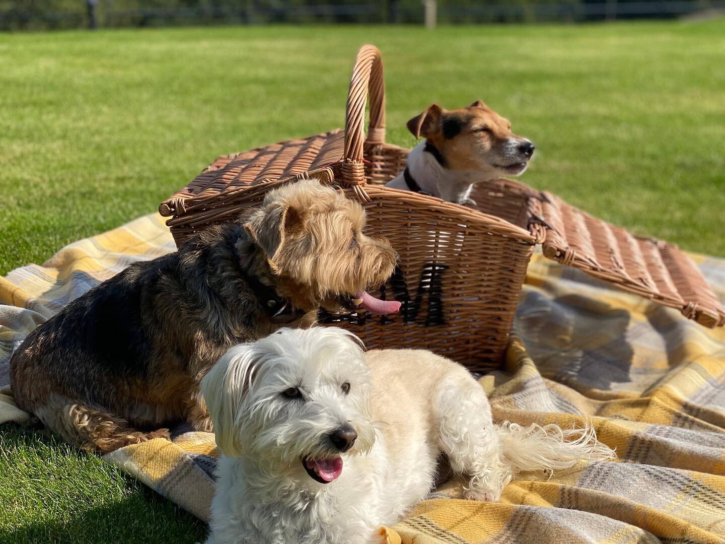 We are dog friendly at Consall Valley, what better way to celebrate than planning a trip away with your furry friend! 🐶🐾 #dogfriendly #ukstaycation