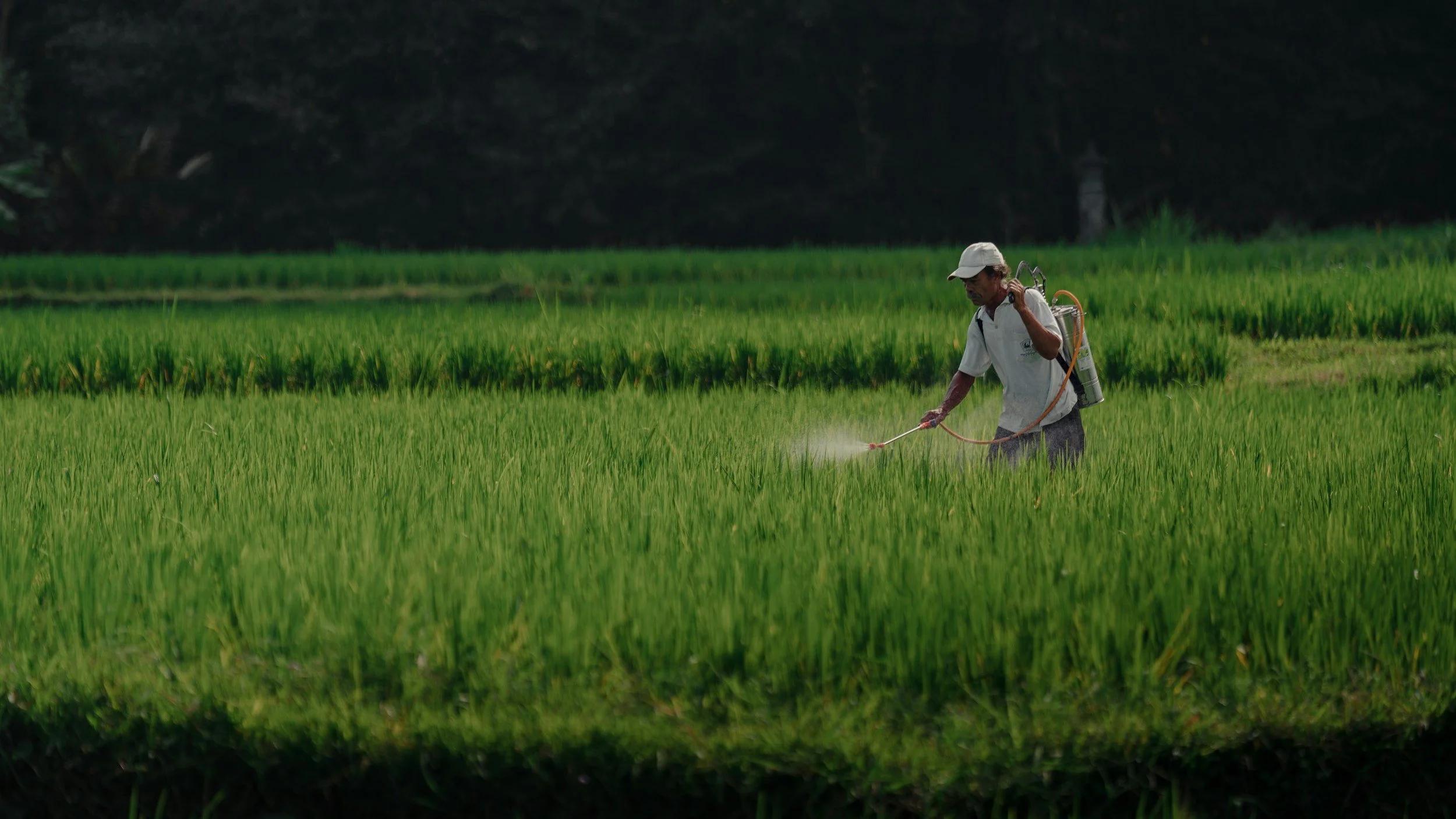 Proper Application and Disposal of Pesticides, Herbicides and Fertilizers: