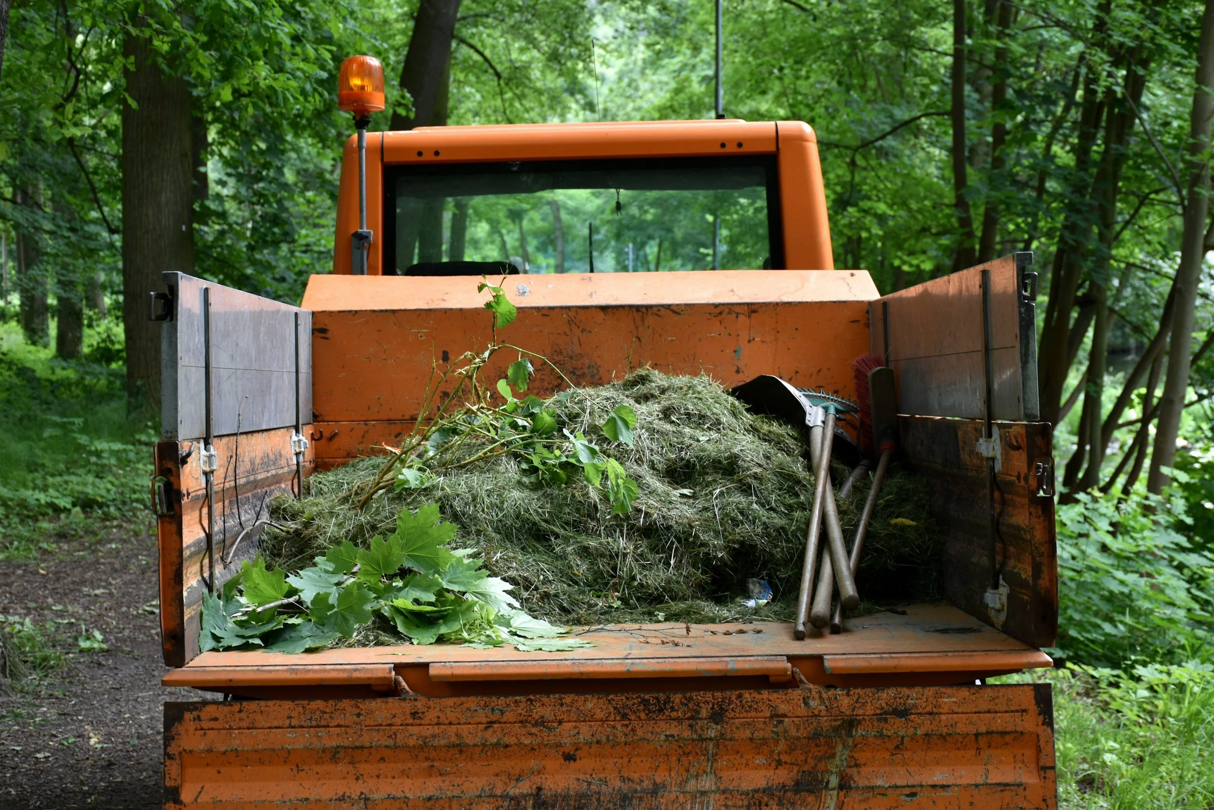 Proper Disposal of Grass Clippings and Leaves 