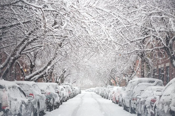08292018_Snow_Carroll.2e16d0ba.fill-735x490.jpg