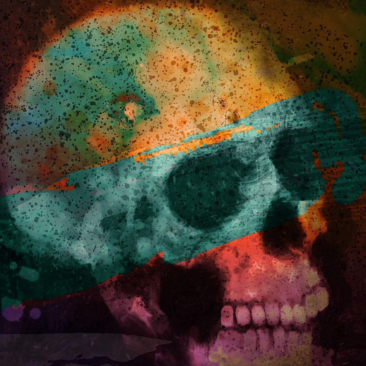 C3A696F1-598C-4498-8292-275EEEA8E74D.JPG