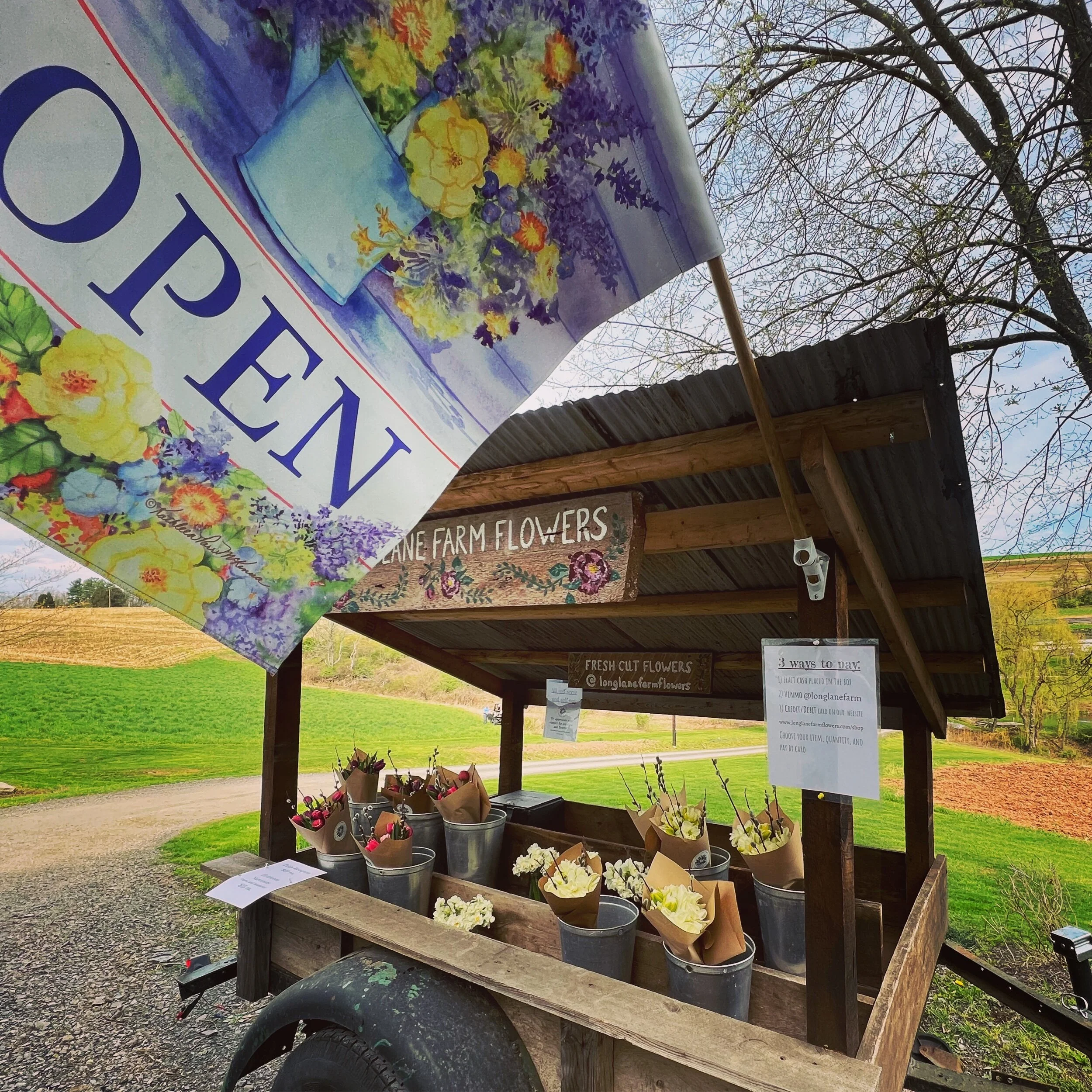 A30F39BD-6E1B-418B-9C6F-0D3A187E77B0