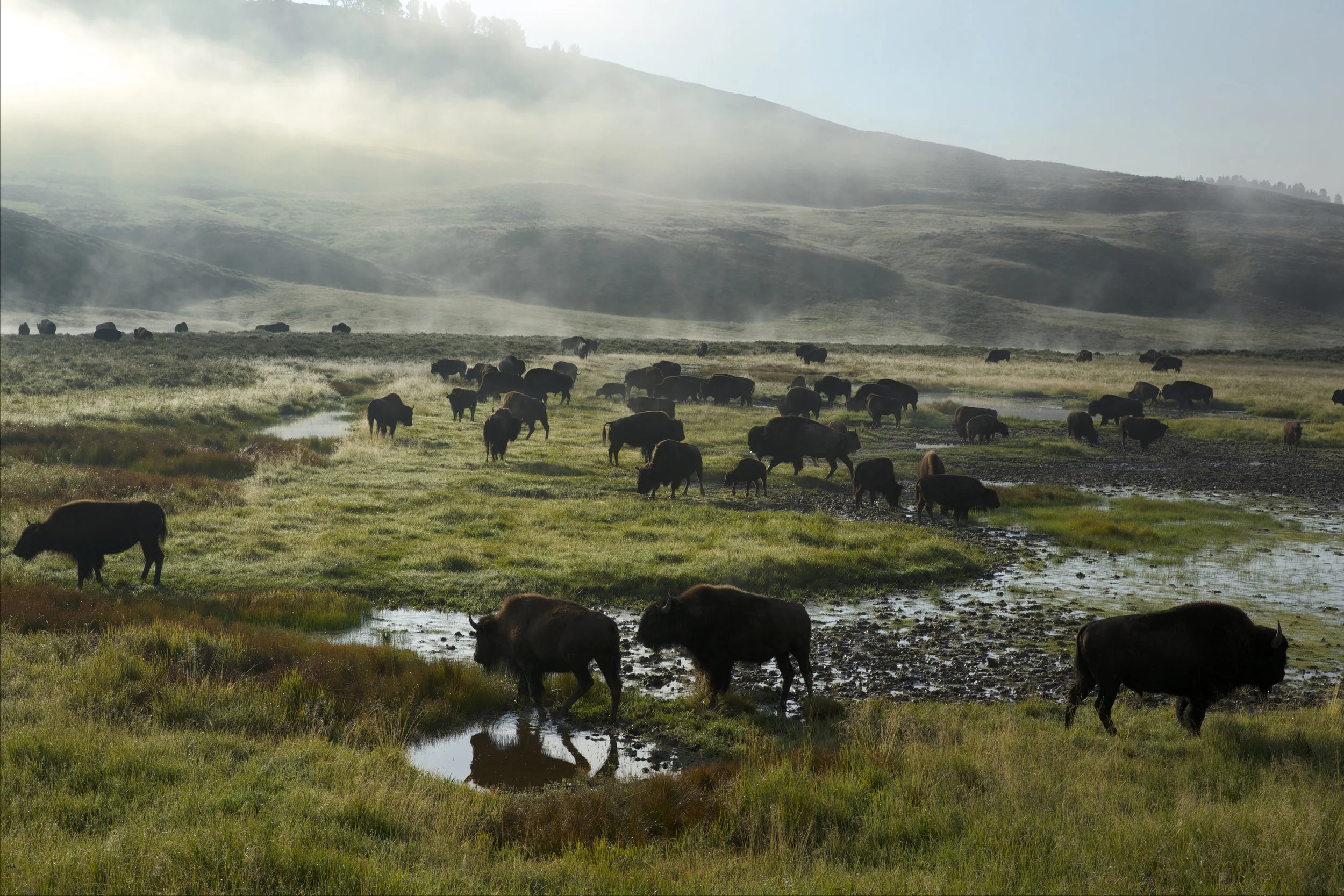 NationalGeographic_2423384.jpg
