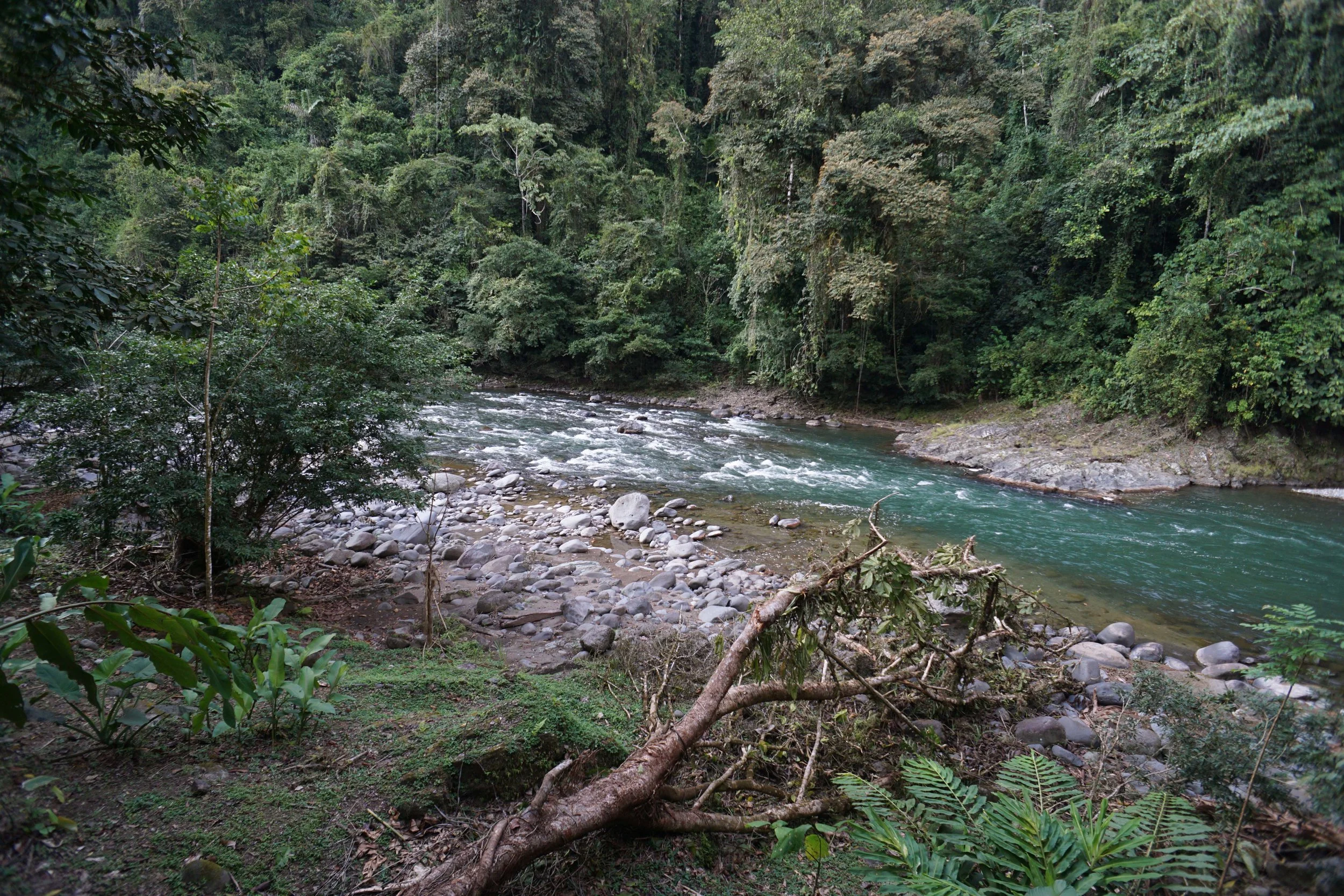Costa Rica calls for a Global Coalition of Champions to Protect Nature