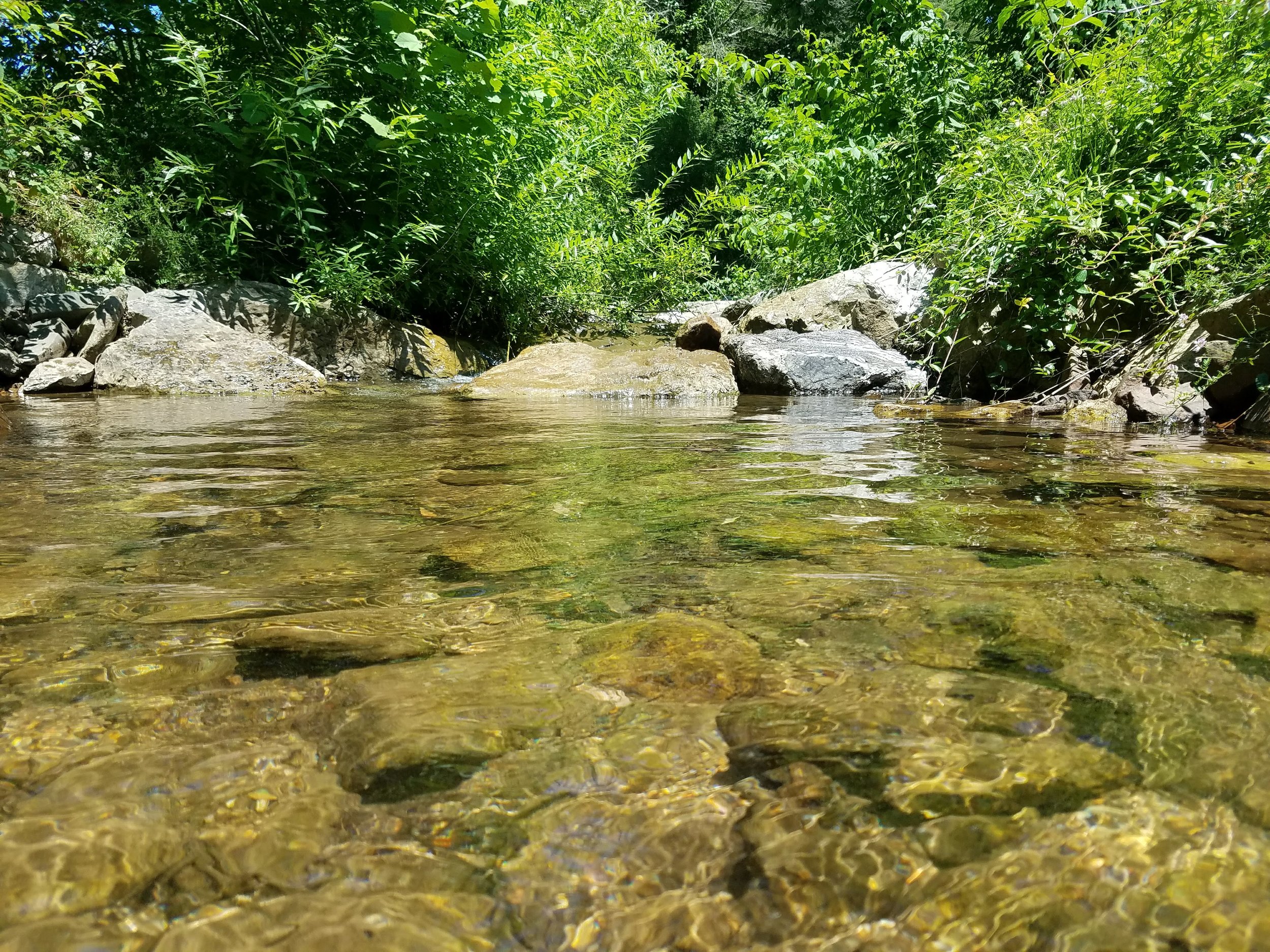 creek.jpg