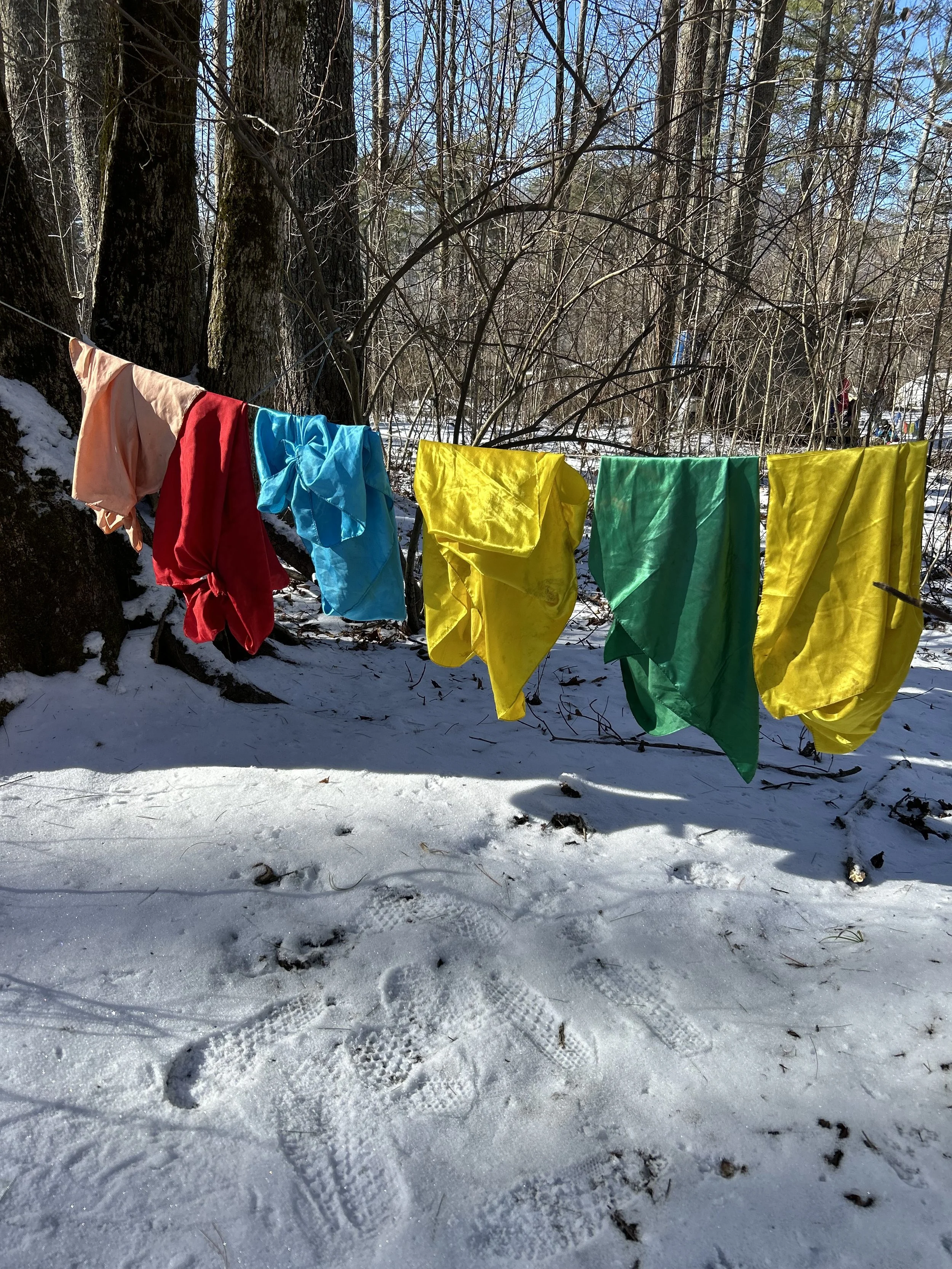 Morning Glory Winter Sessions Feb. 3,10,17,24 March 3,10