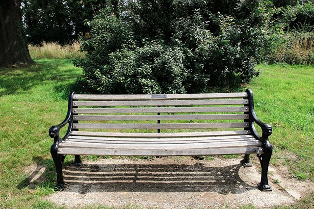 Our lovely park bench