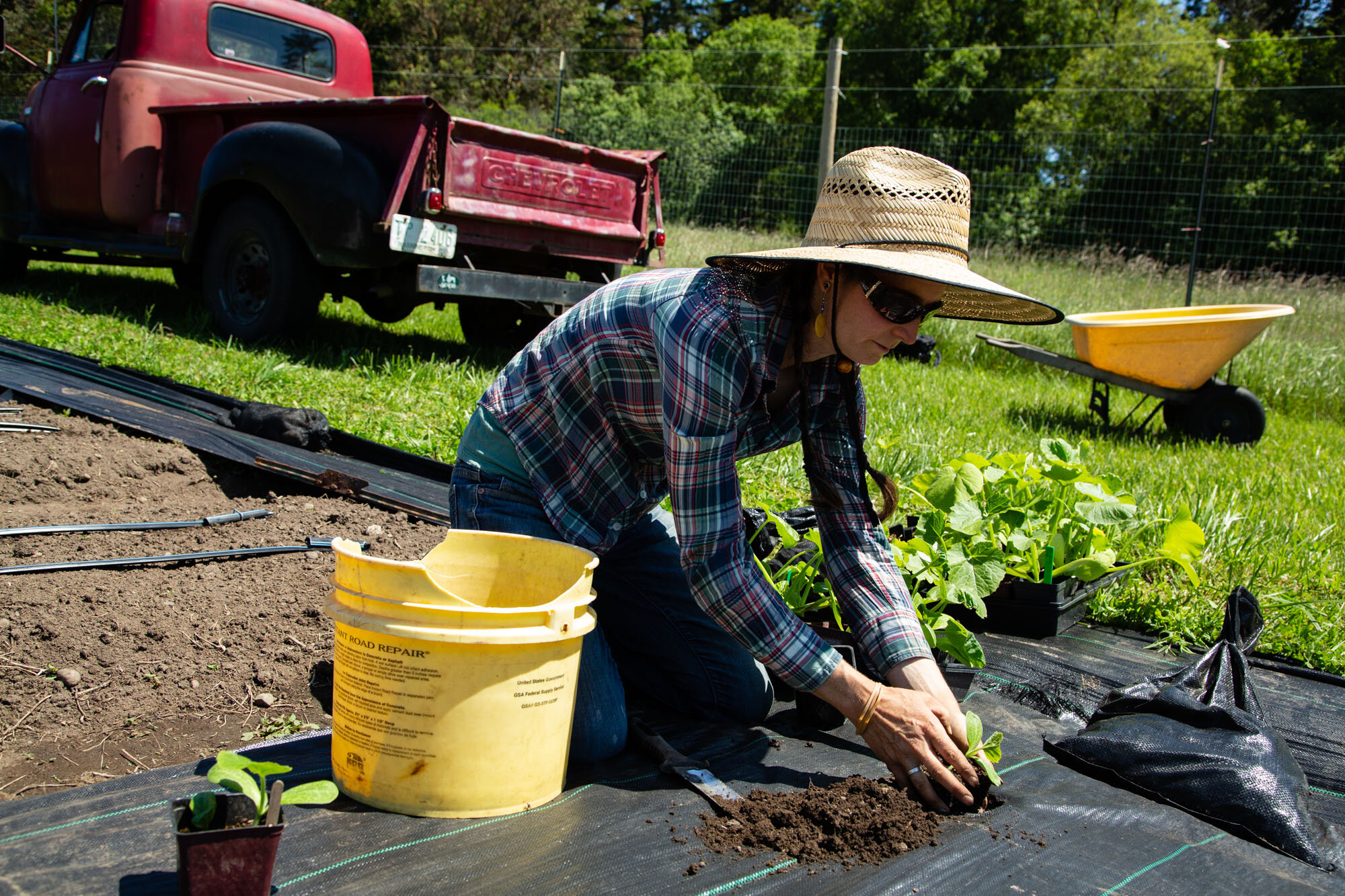 Squash Planting Day