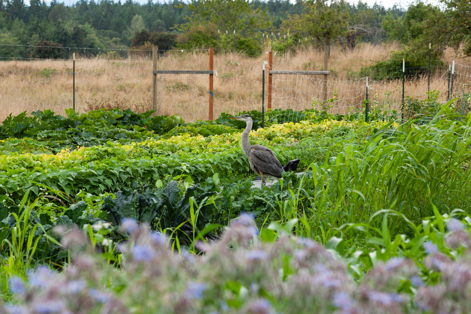 In the Field