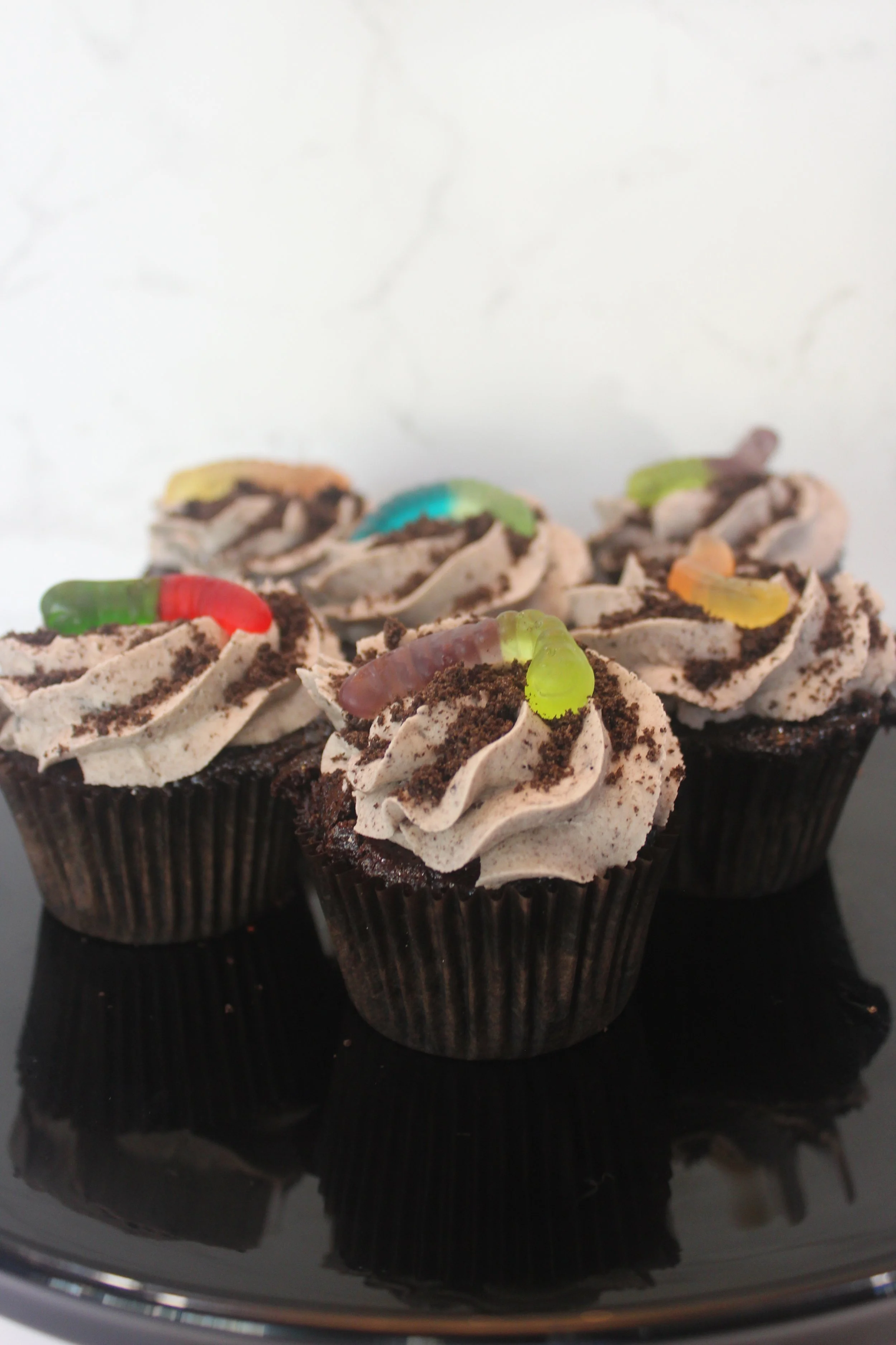 Dirt & Worms Cupcake