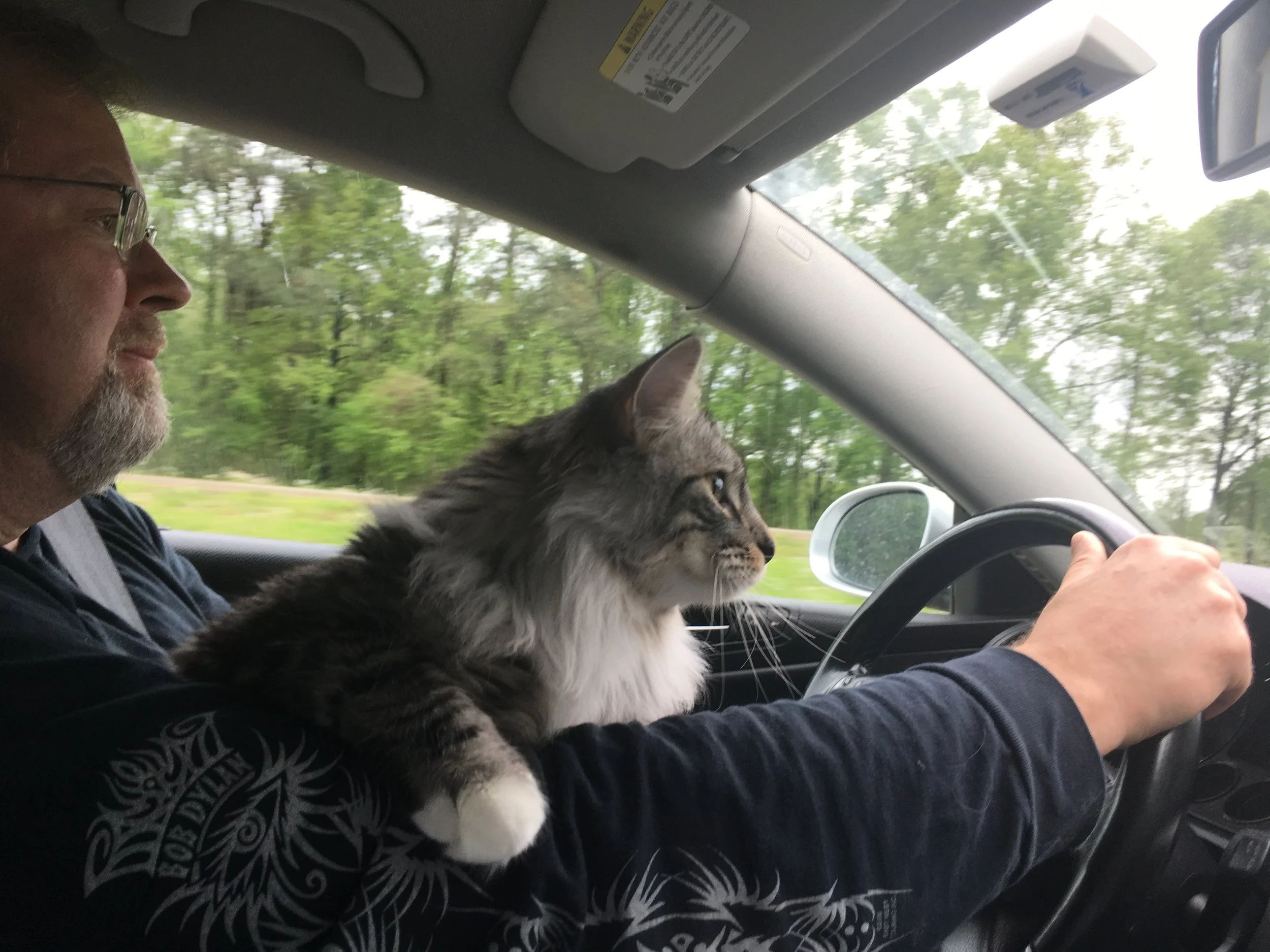 Car Ride to my new family! 