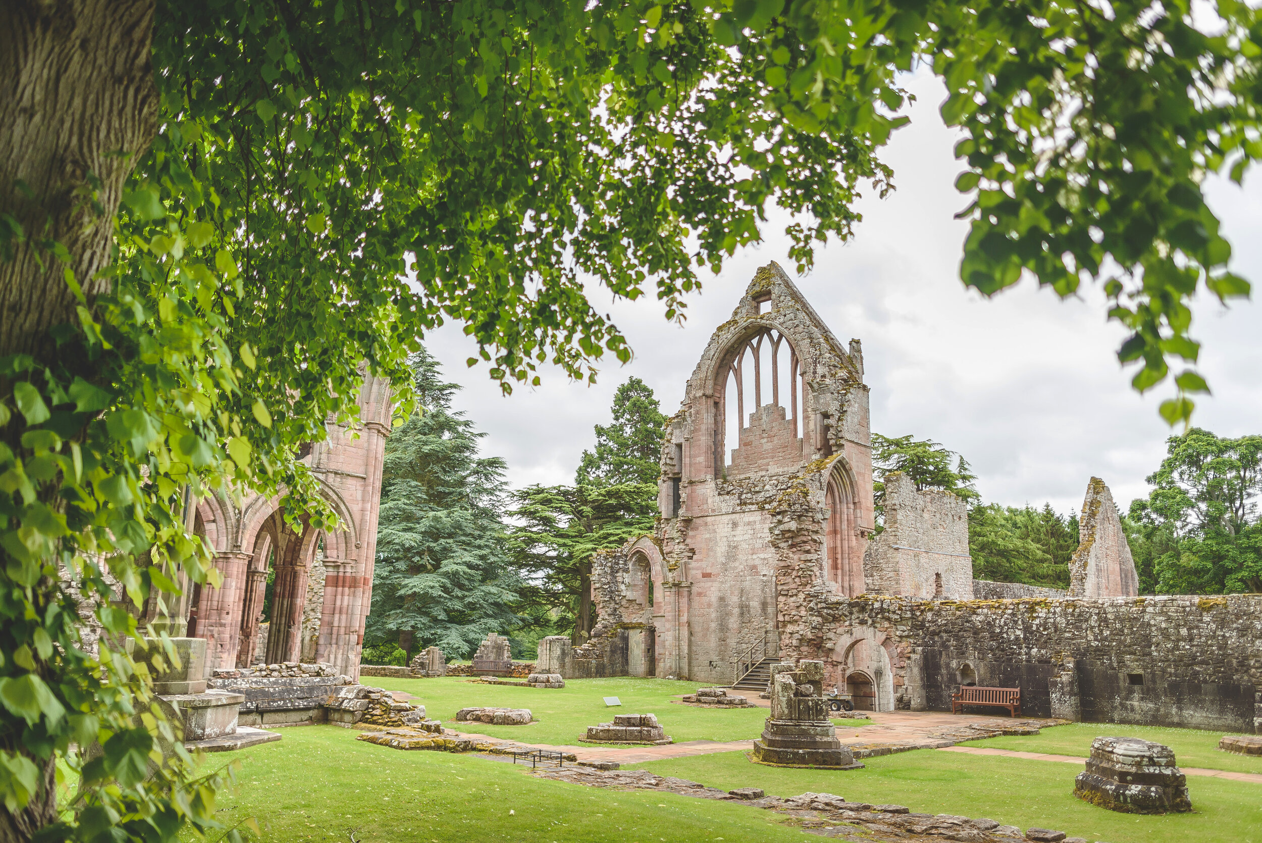 Duncan_Ireland_Photography_Dryburgh_Abbey_CG_DB_001_Colour.jpg