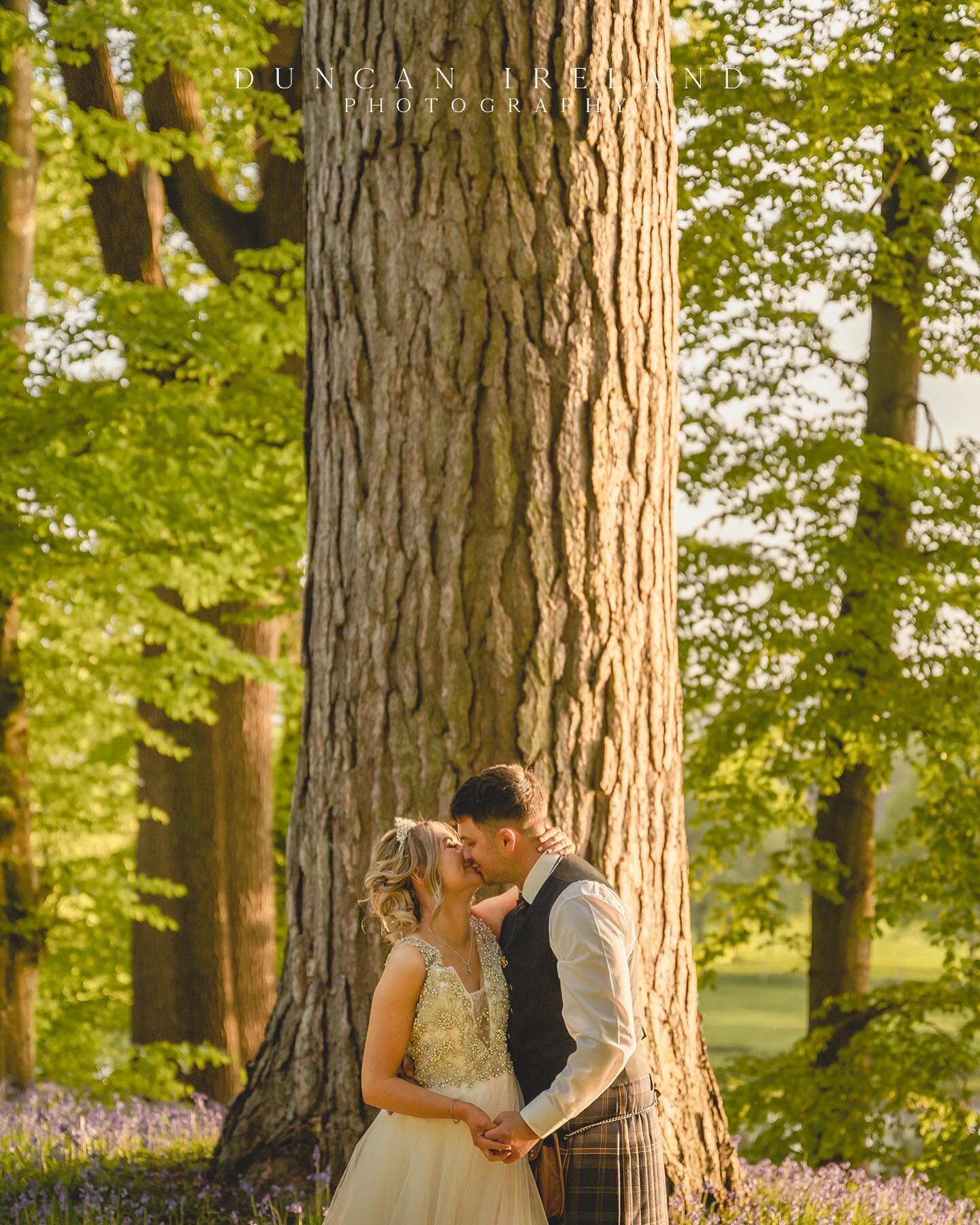 Abby &amp; Nathan&rsquo;s Dalswinton @dalswintonestateweddings wedding - the peak of Spring and gorgeous May light&hellip;  Days like these are what we treasure, special times with love all around and the kind of light that touches your soul!  The be