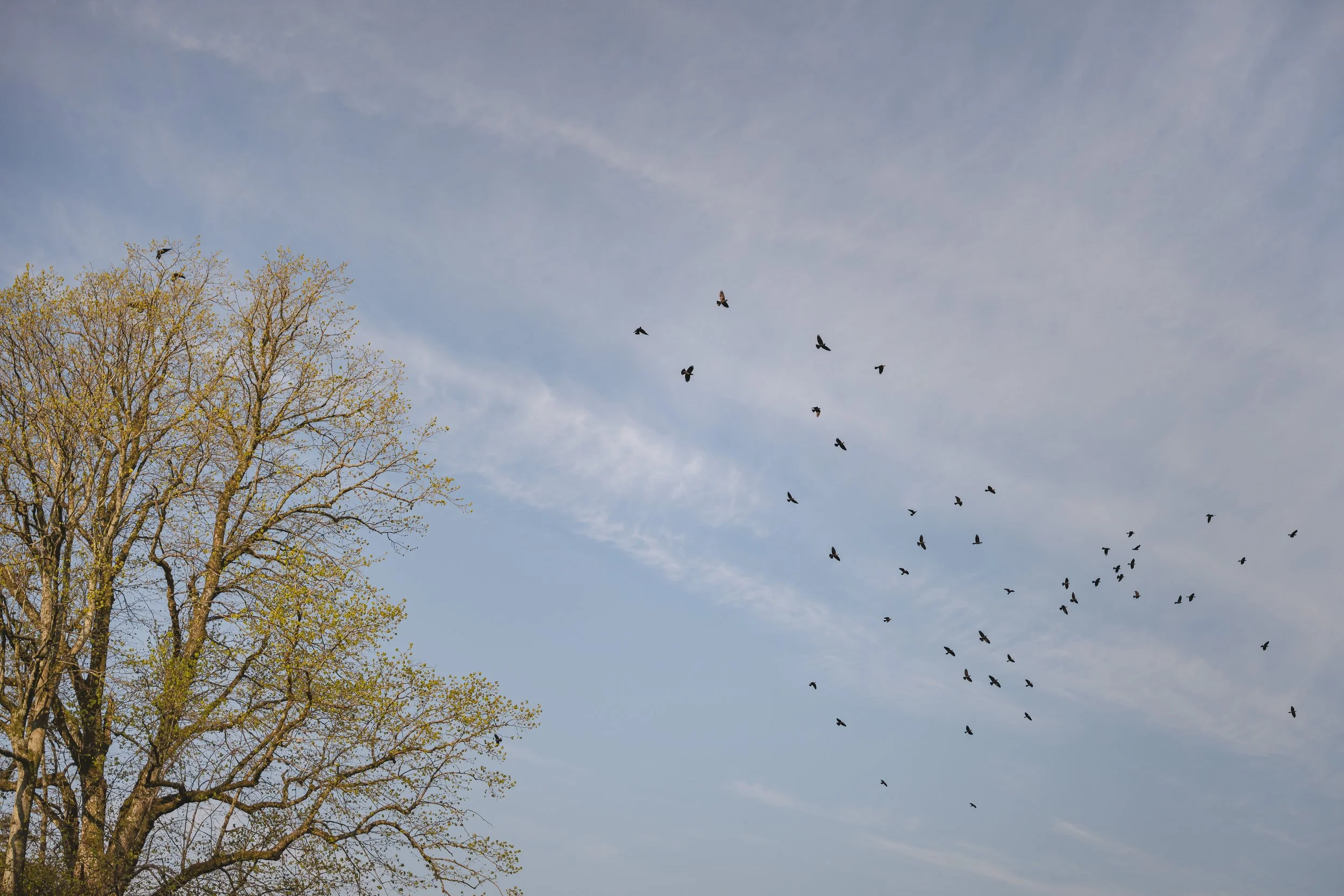 Duncan_Ireland_Photography_LT_RK_010.jpg