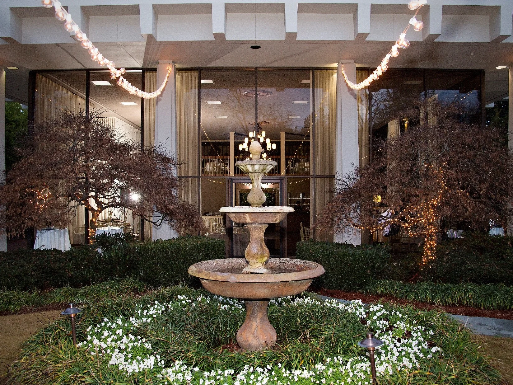 Garden at Night.jpg