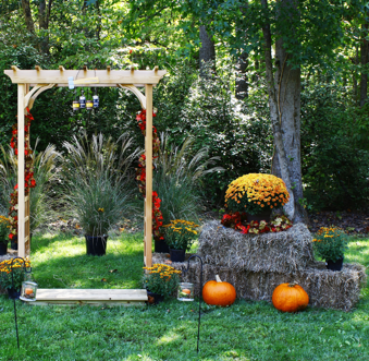 Vinewood_fall_decor7.png