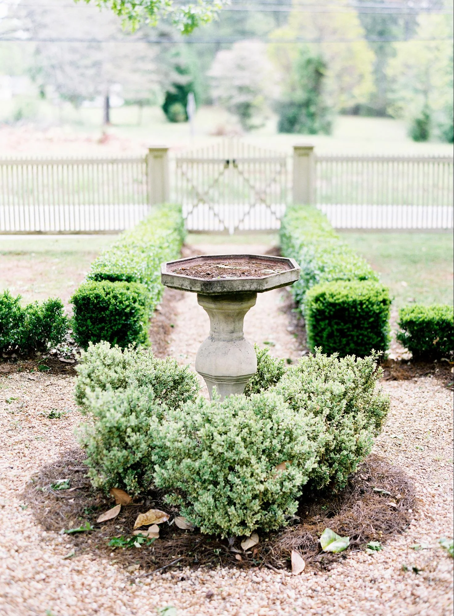 image6.jpg