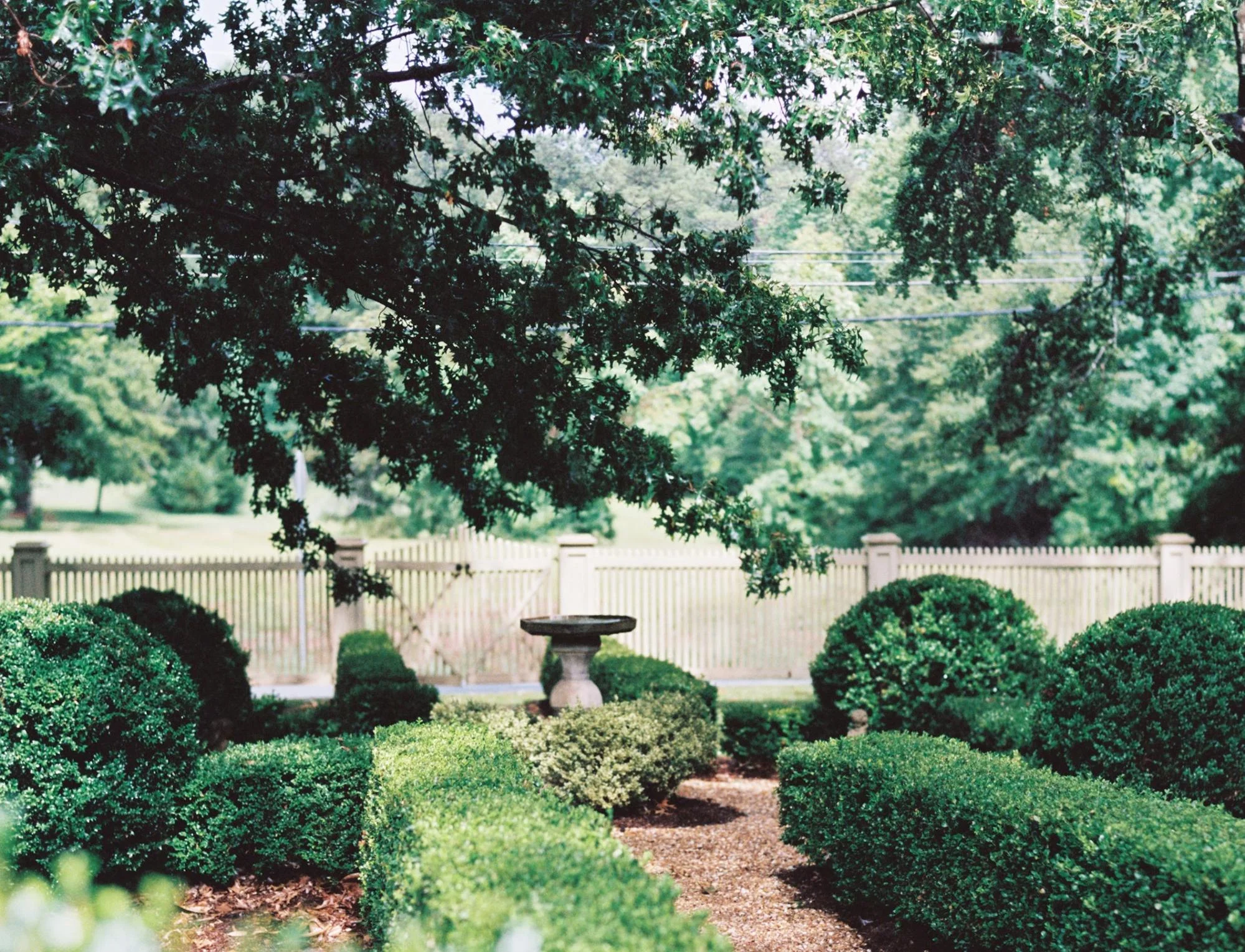 image41.jpg