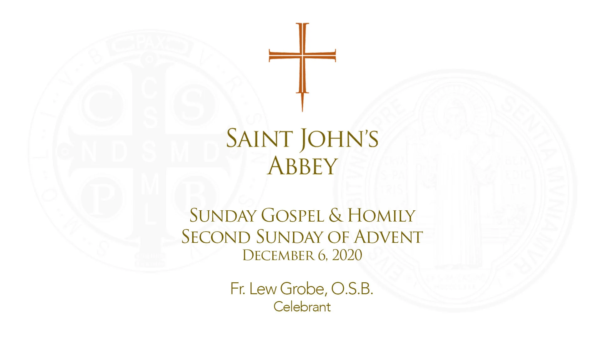 Sunday Gospel and Homily