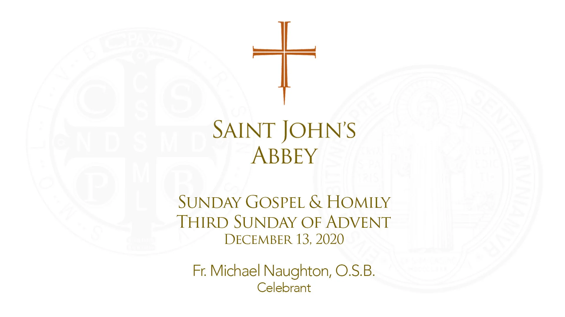Sunday Gospel and Homily