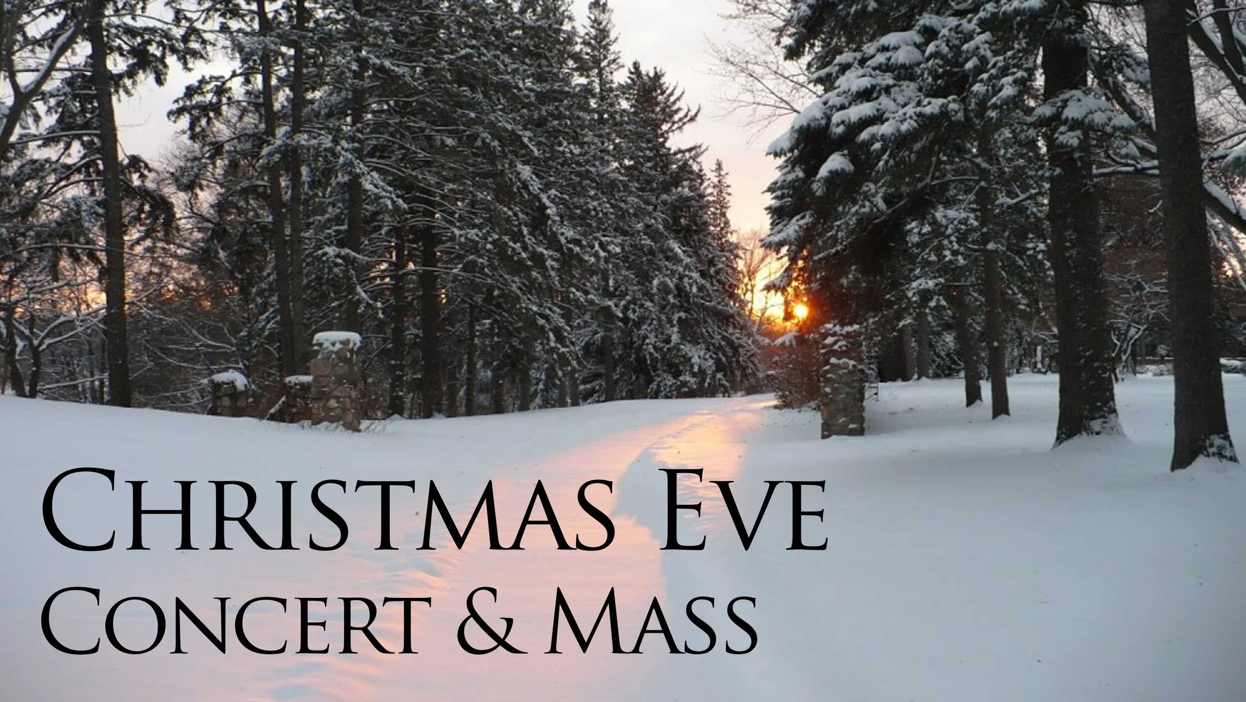 Gospel and Homily of Christmas Eve Mass