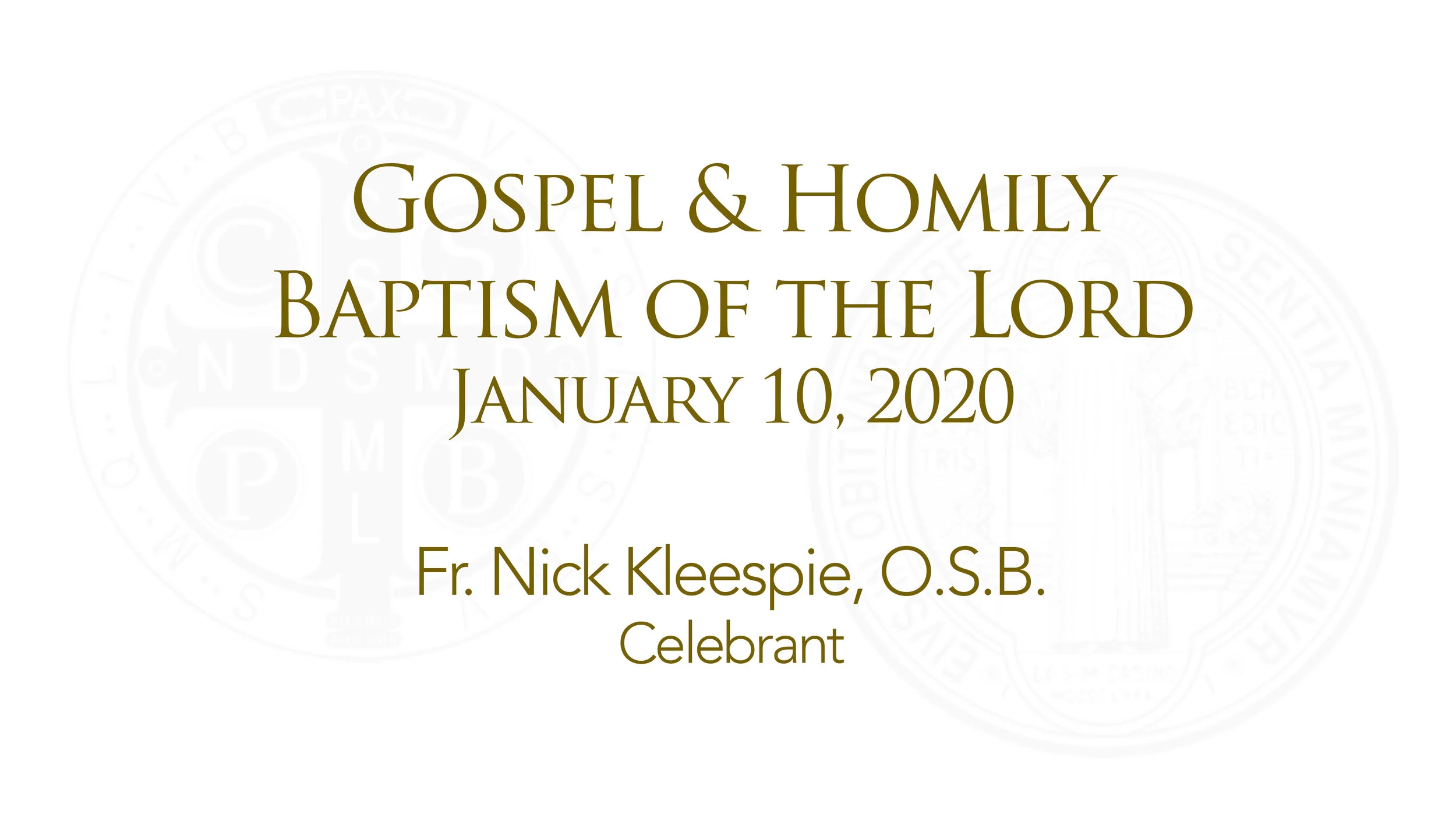 Sunday Gospel and Homily
