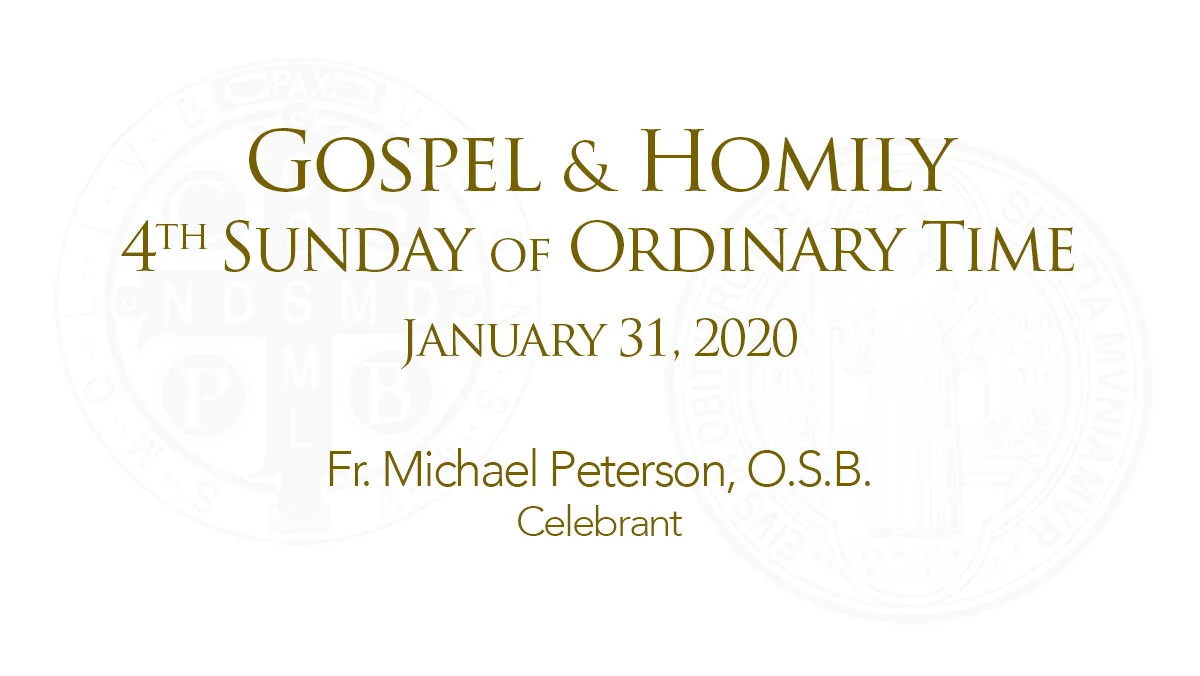 Sunday Gospel &amp; Homily 