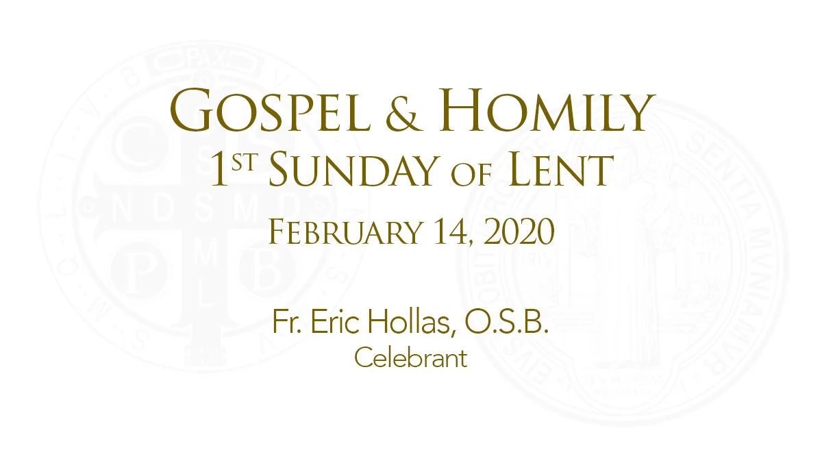 Sunday Gospel and Homily