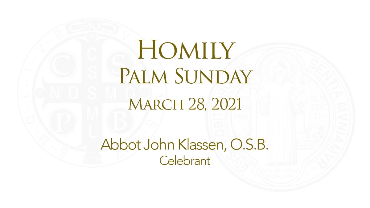 Palm Sunday Homily