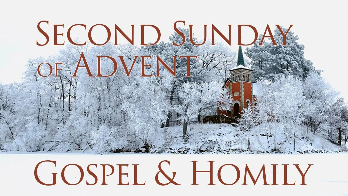 Gospel and Homily