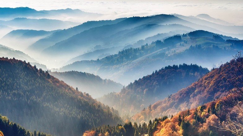 Germany's Black Forest