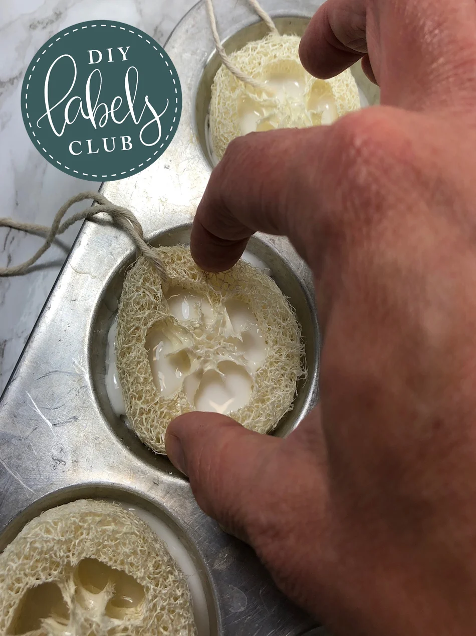PPLS - press loofah.jpg