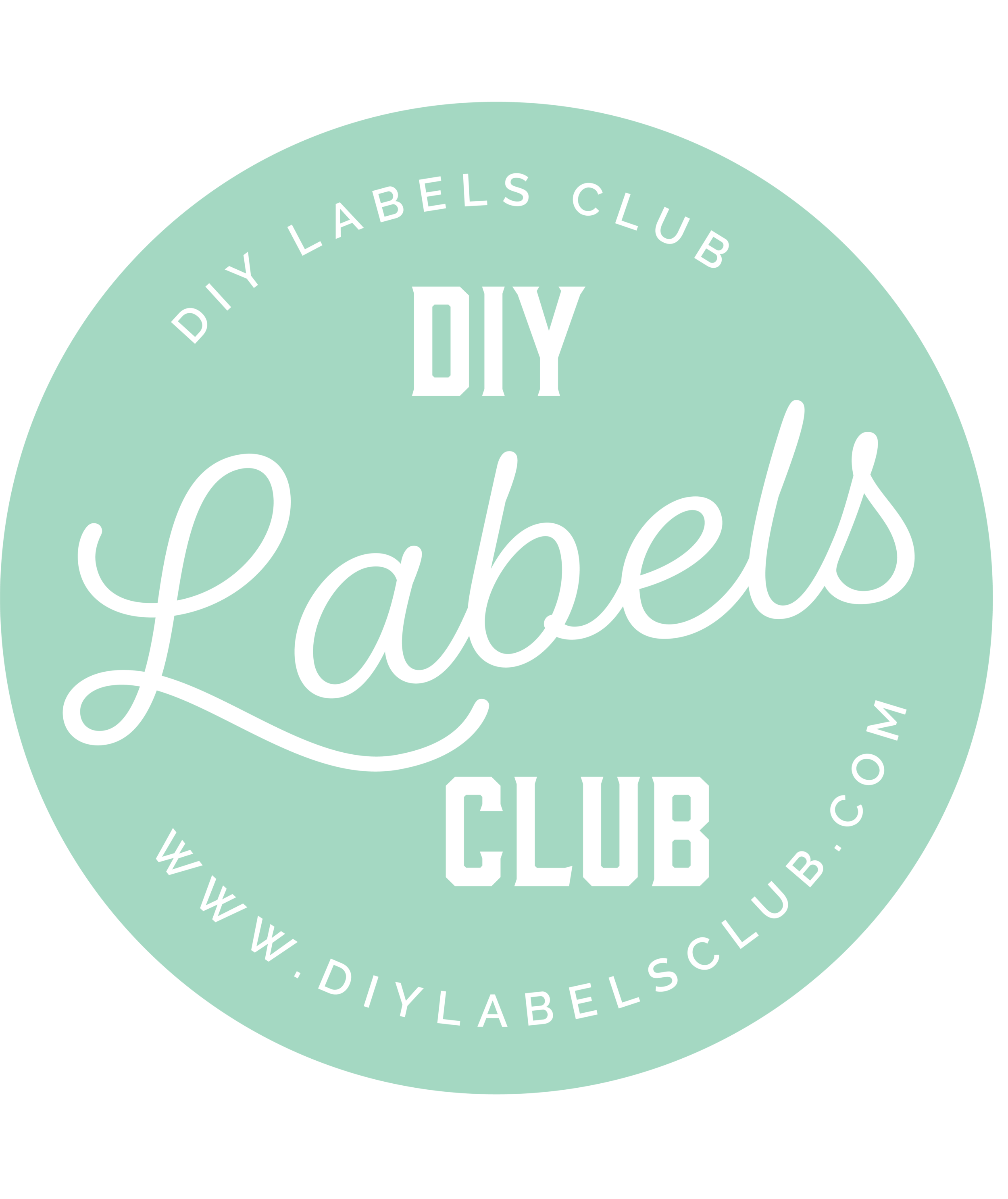 Bath Salts Labels in 2 Colors — DIY Labels Club