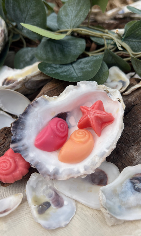 Sunlit Botanical Wax Sachets