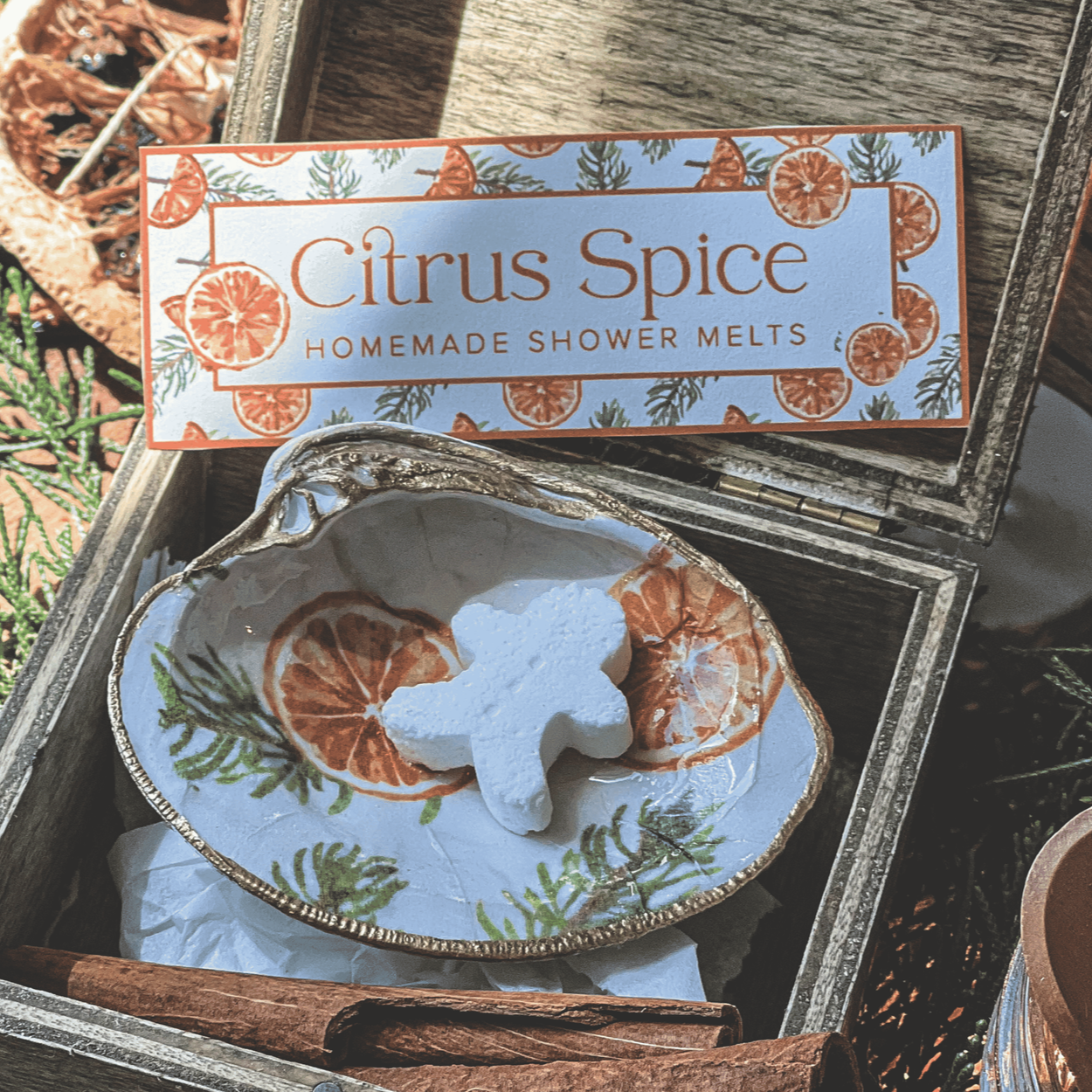 citrus+spice+diffuser+banner+%281%29.png